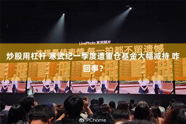 炒股用杠杆 寒武纪一季度遭重仓基金大幅减持 咋回事？