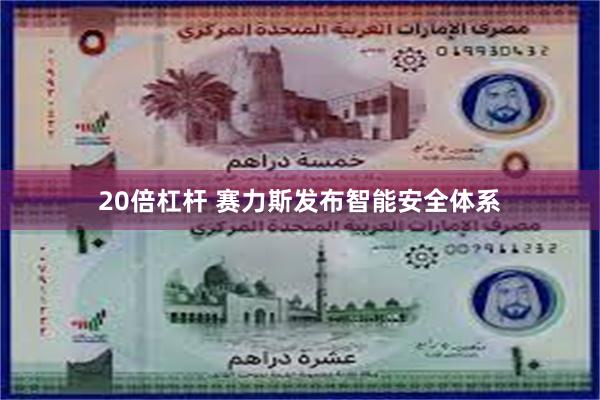 20倍杠杆 赛力斯发布智能安全体系