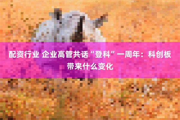 配资行业 企业高管共话“登科”一周年：科创板带来什么变化